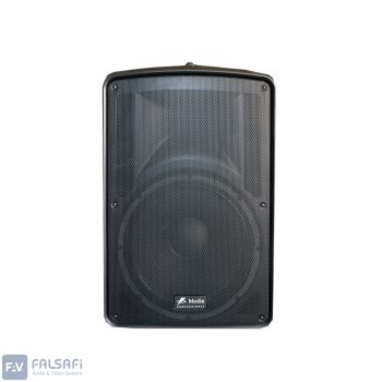 باند اکتیو 12 اینچ MEDIA-RXA15P968UB